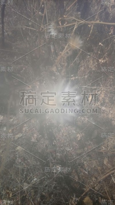 墨西哥