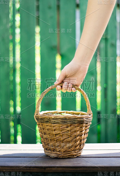 在绿色的篱笆背景上，拿着一个豌豆荚的柳条篮子