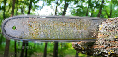 一个人用链锯砍树