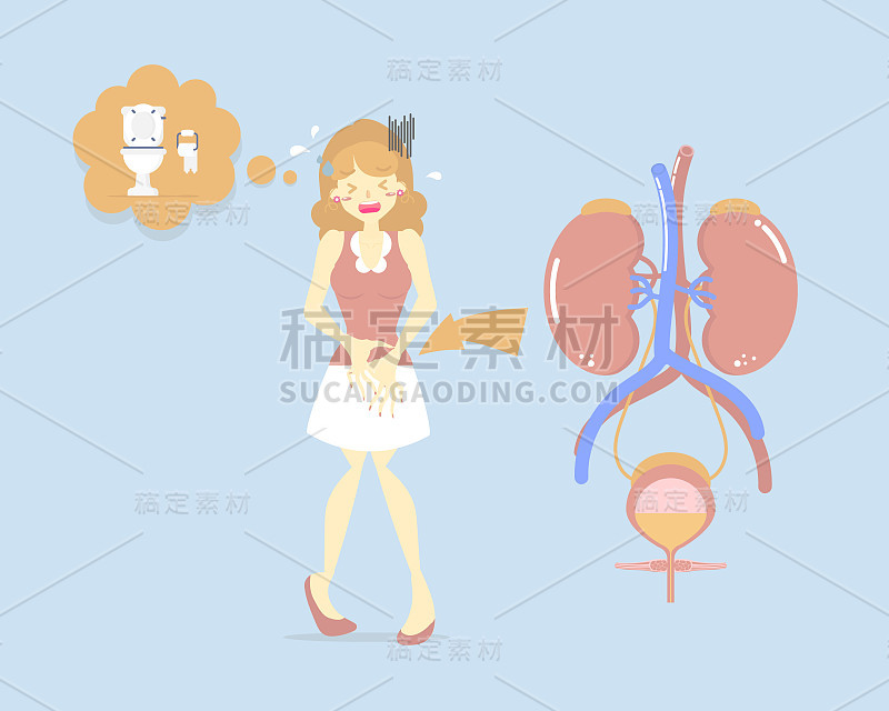 女人需要大小便，抱着膀胱，大小便，保健，膀胱炎概念，卫生，大小便失禁概念