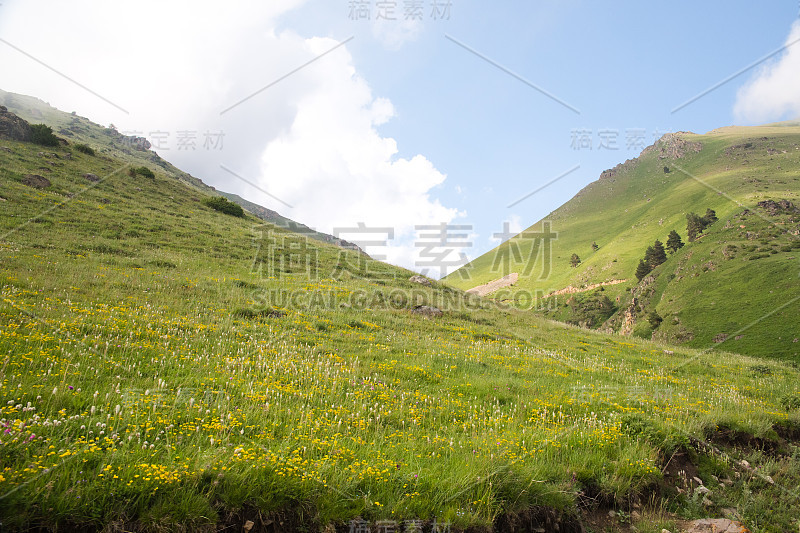 山谷和山峰的景色