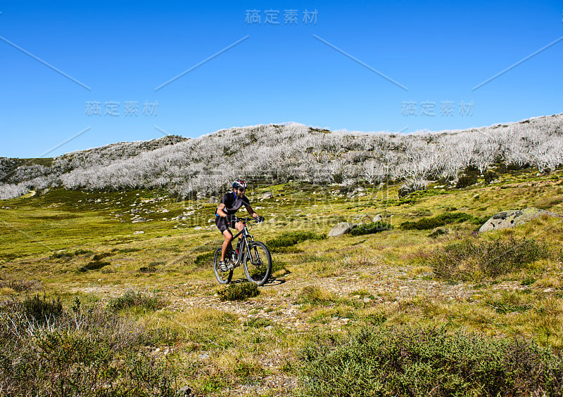 澳大利亚的山地自行车运动