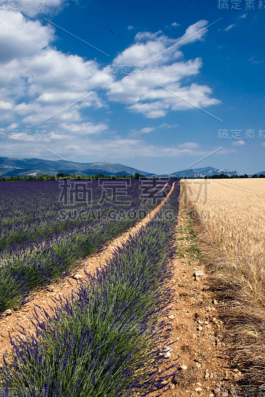 我常去lavanda