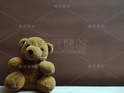 毛茸茸的泰迪熊