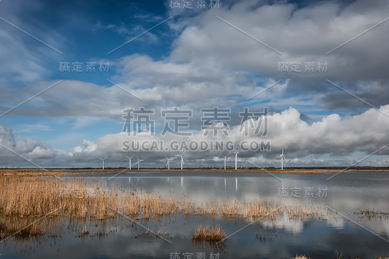 斯尼姆斯莱斯后面的堤坝与鸟类区，埃斯比约格，丹麦