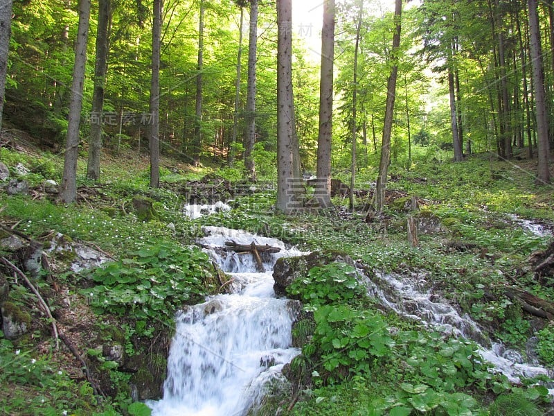 高山流水