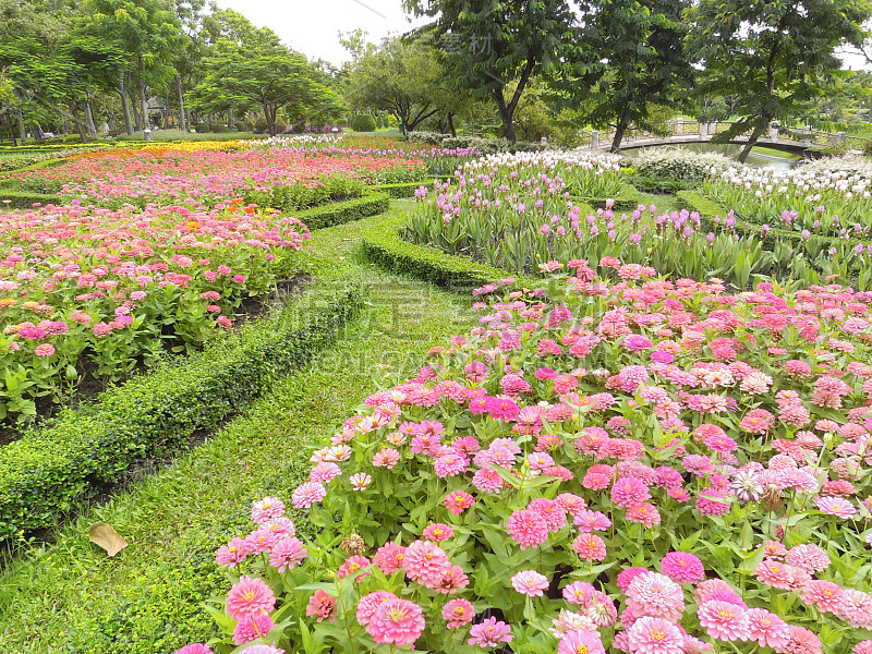 庭院和花园