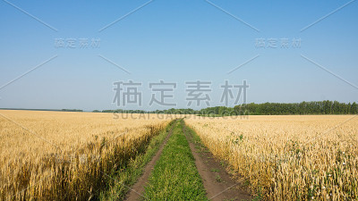 田野里的路