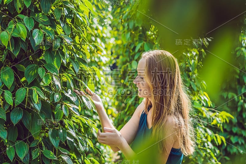 越南一个黑胡椒农场的年轻女人，富国