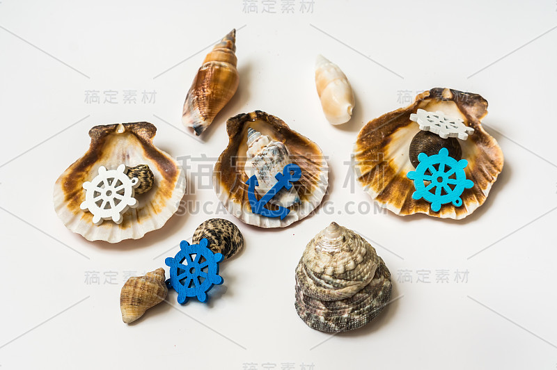 Decorated sea shells with marine wheel and anchor