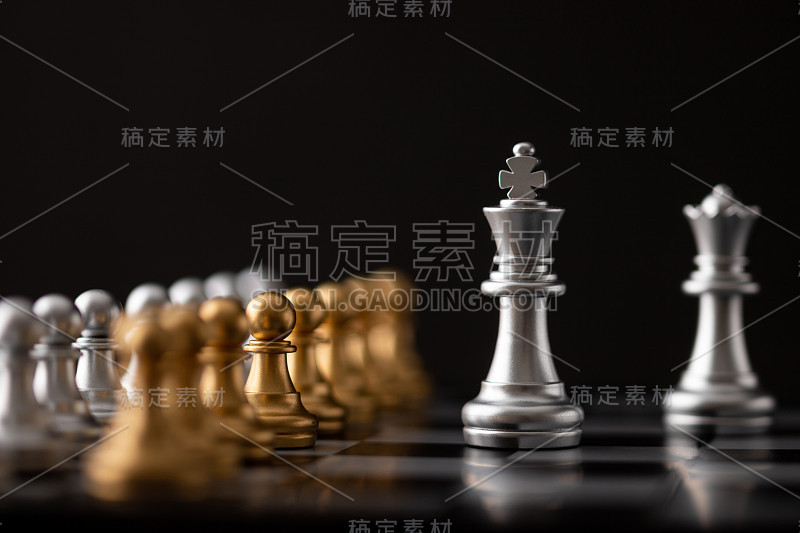 棋盘上的银国王和王后