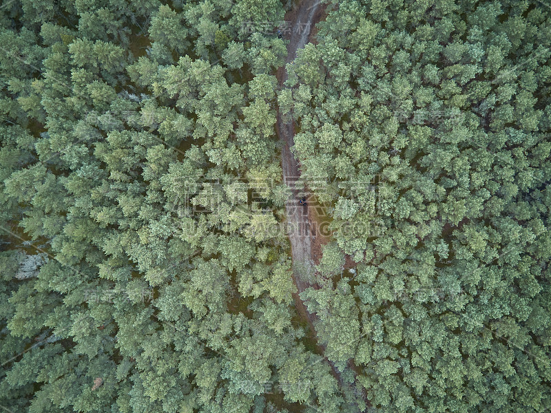 鸟瞰库尔尼沙口