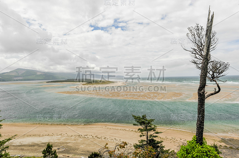 浅浅的海风海湾，沙滩和树木