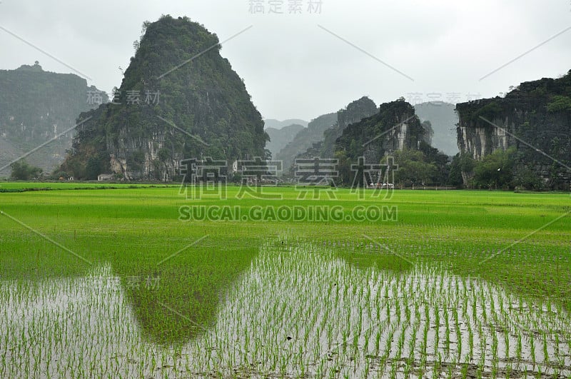 越南的风景。宁平的稻田和喀斯特塔