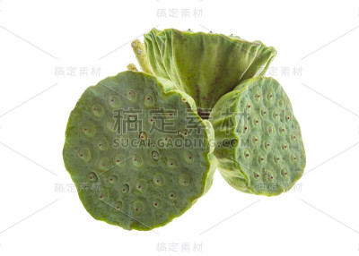 莲子