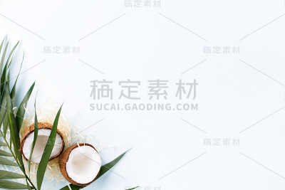 蓝色背景上的棕榈叶和椰子