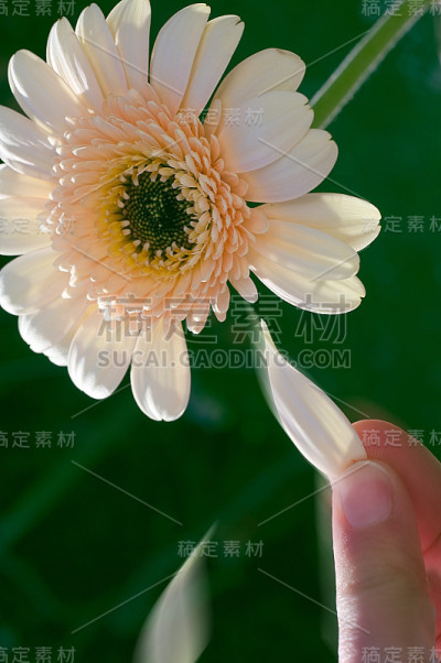 是的不