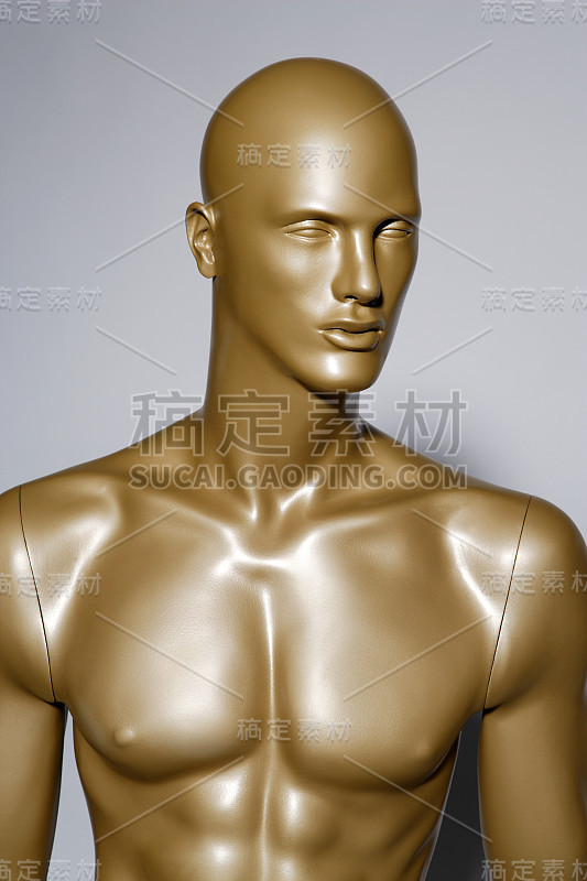 人体模型
