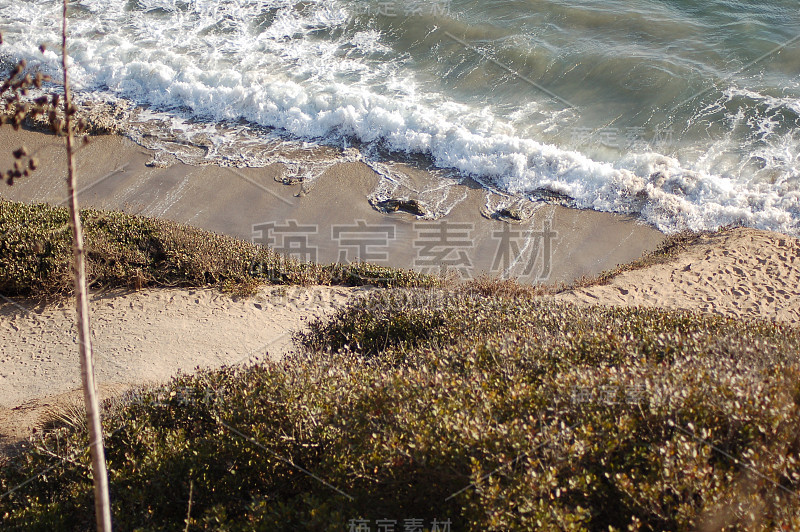 海滩和波