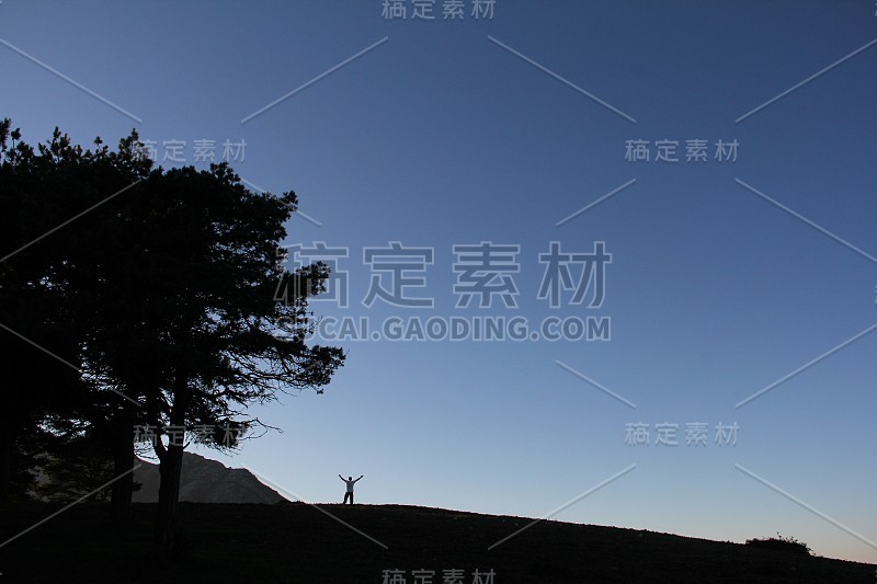 自由