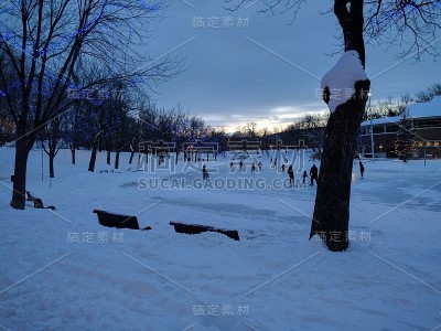 滑冰在蒙特利尔