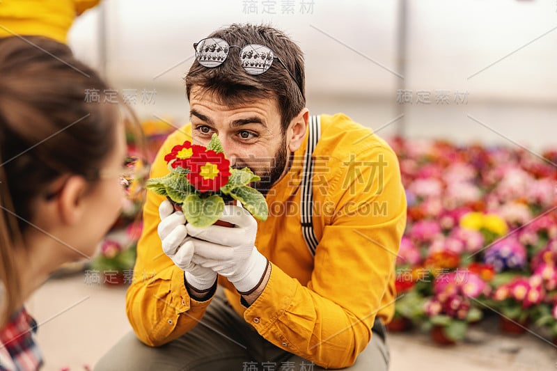 年轻微笑的苗圃工人拿着花盆和他的同事谁也是他的女朋友调情。