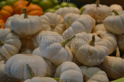 小南瓜