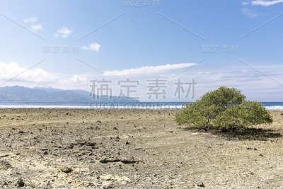 潮起潮落