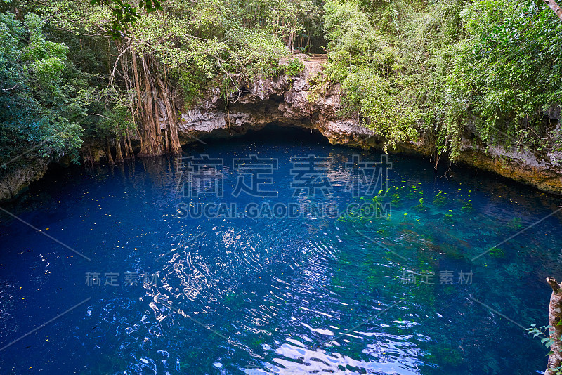 玛雅雨林中的天然井天坑