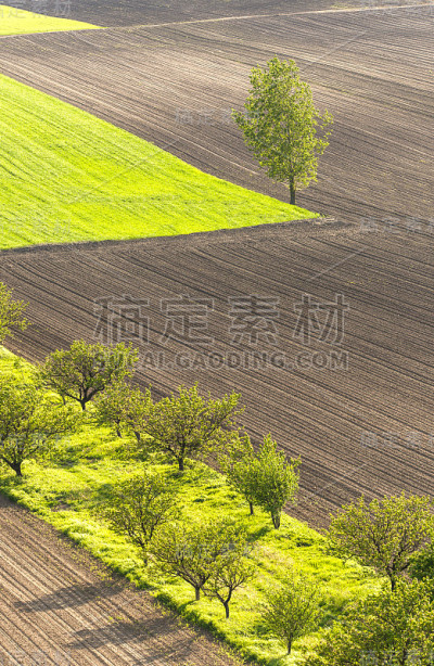 景观与果园