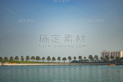 棕榈树在一条线上，大海在背景和前景上