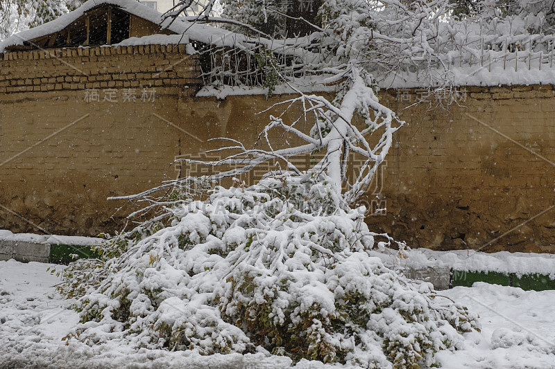 由于一场大雪，一棵树倒在了街上，道路被封闭了