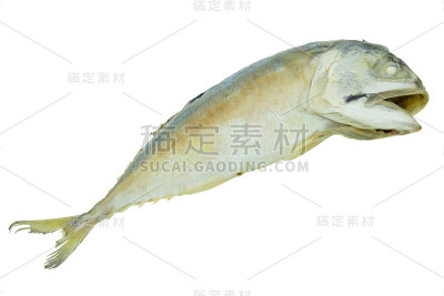新鲜鲭鱼分离