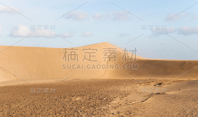 马齿苋沙丘自然保护区