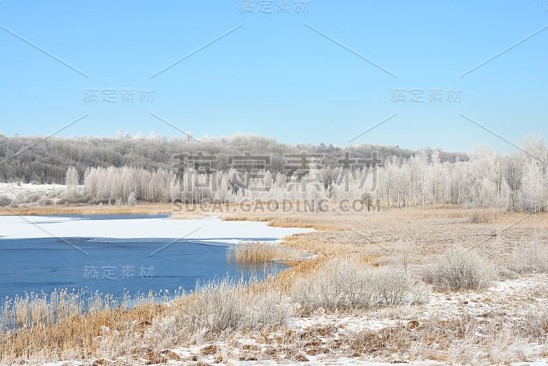 蓝色冰冻的湖被白雪覆盖的草地和覆盖着白霜的森林所包围。俄罗斯的冬天。