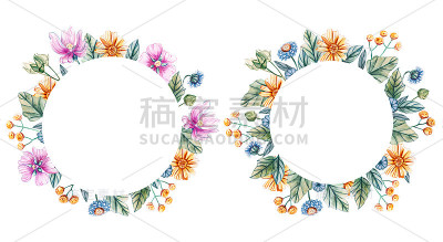 圆形框架与水彩野花。