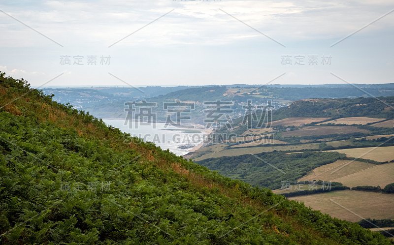 山上的绿色田野，背景是英吉利海峡和英国的乡村。英国多塞特侏罗纪海岸的金冠。