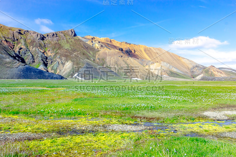 冰岛风景优美，有山、绿草地和河水。Landmannalaugar, Fjallabak自然保护区。