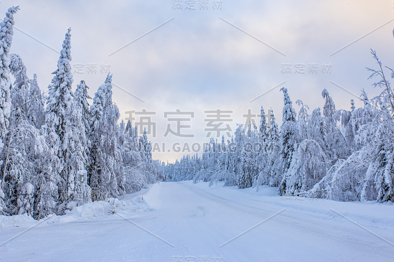 来自芬兰索特卡莫的大雪景观。