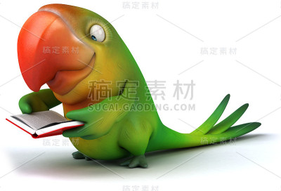 有趣的鹦鹉