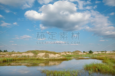 湿地景观