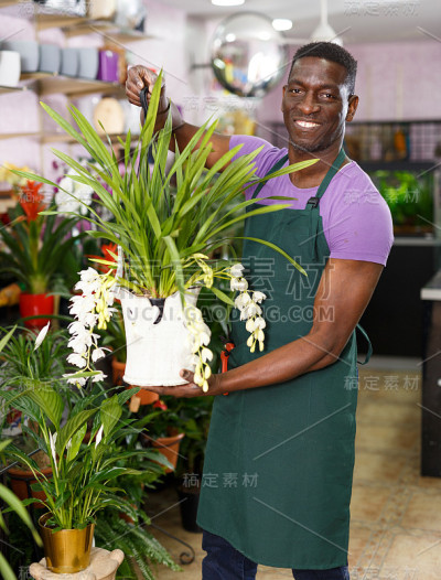 卖盆花的花店
