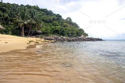 与老查姆