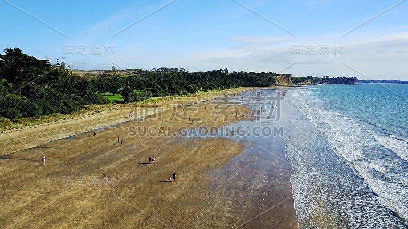 鸟瞰图上的一个悬崖上的阳光海滩与农田的背景。新西兰奥克兰。