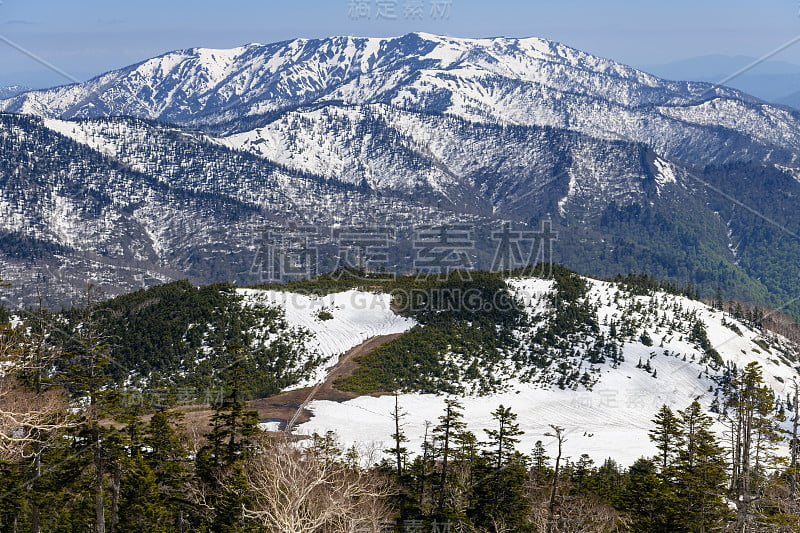 在春天的相竹山和熊泽watashiro