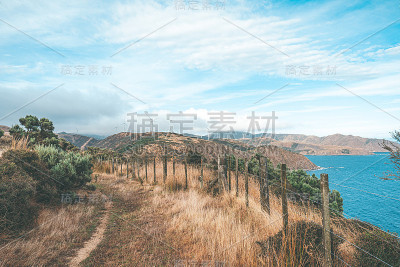 惠灵顿乡村的自然景观-马卡拉
