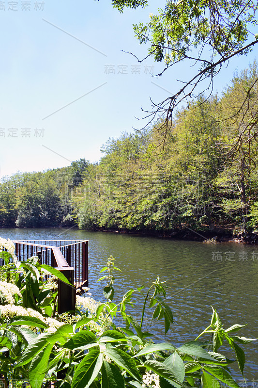 沼泽、水库和河流