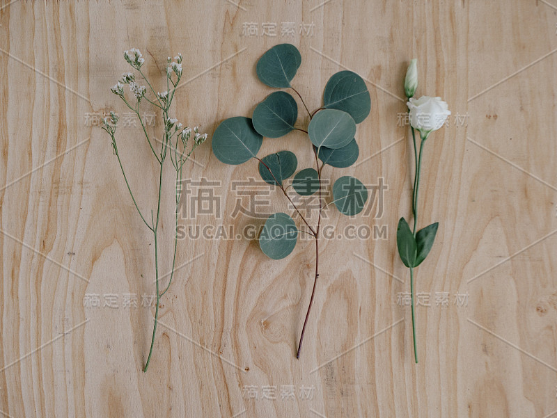 鲜花的背景