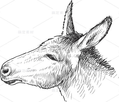 这是一头悲伤的驴的头