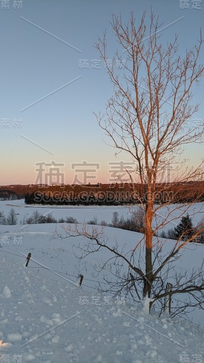 雪地上的日落(图6)